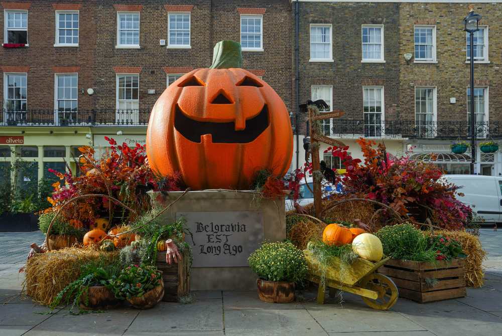Pumpkin Displays 2023