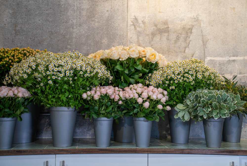 Moyses Stevens Flower School: Flower Workshops for Beginners