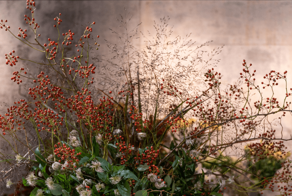 Seasonal Fruits - Rosehips