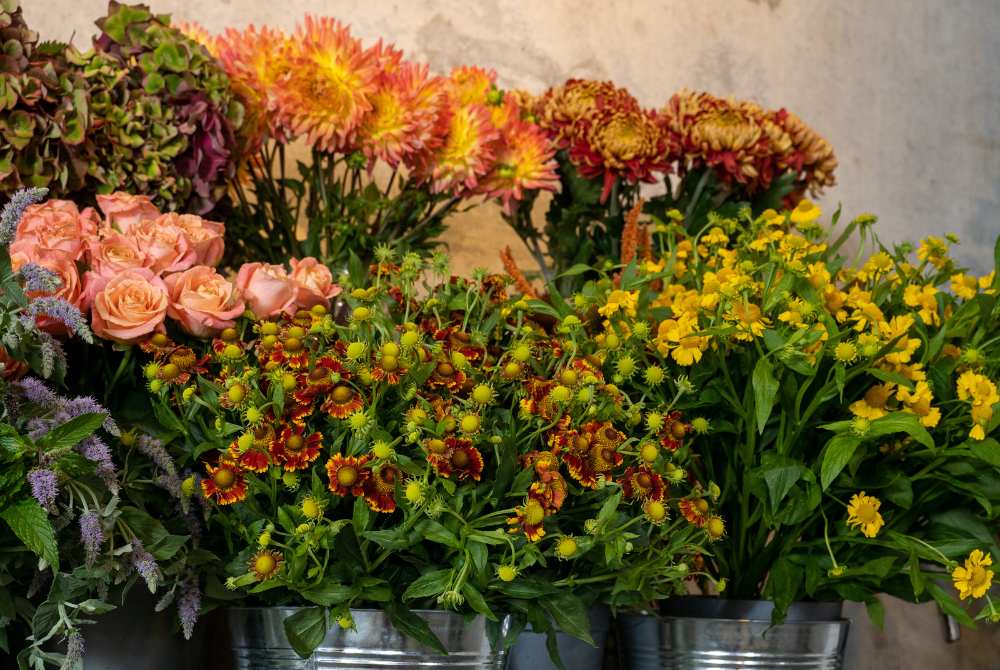 Flowers We Love This September
