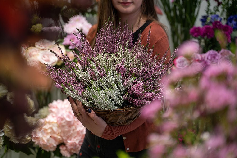 Moyses Stevens Chelsea: A Flowery Destination