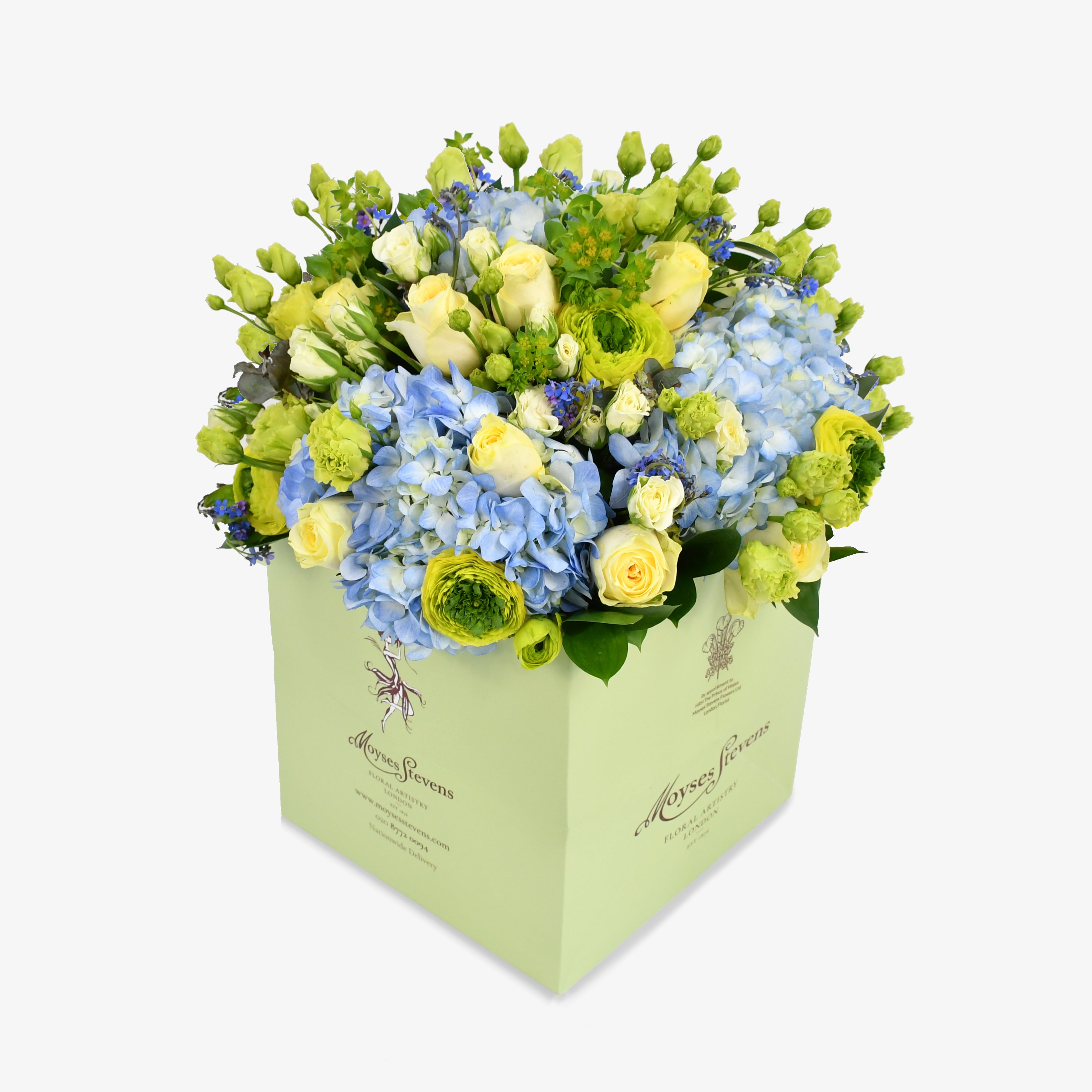 Forget Me Not