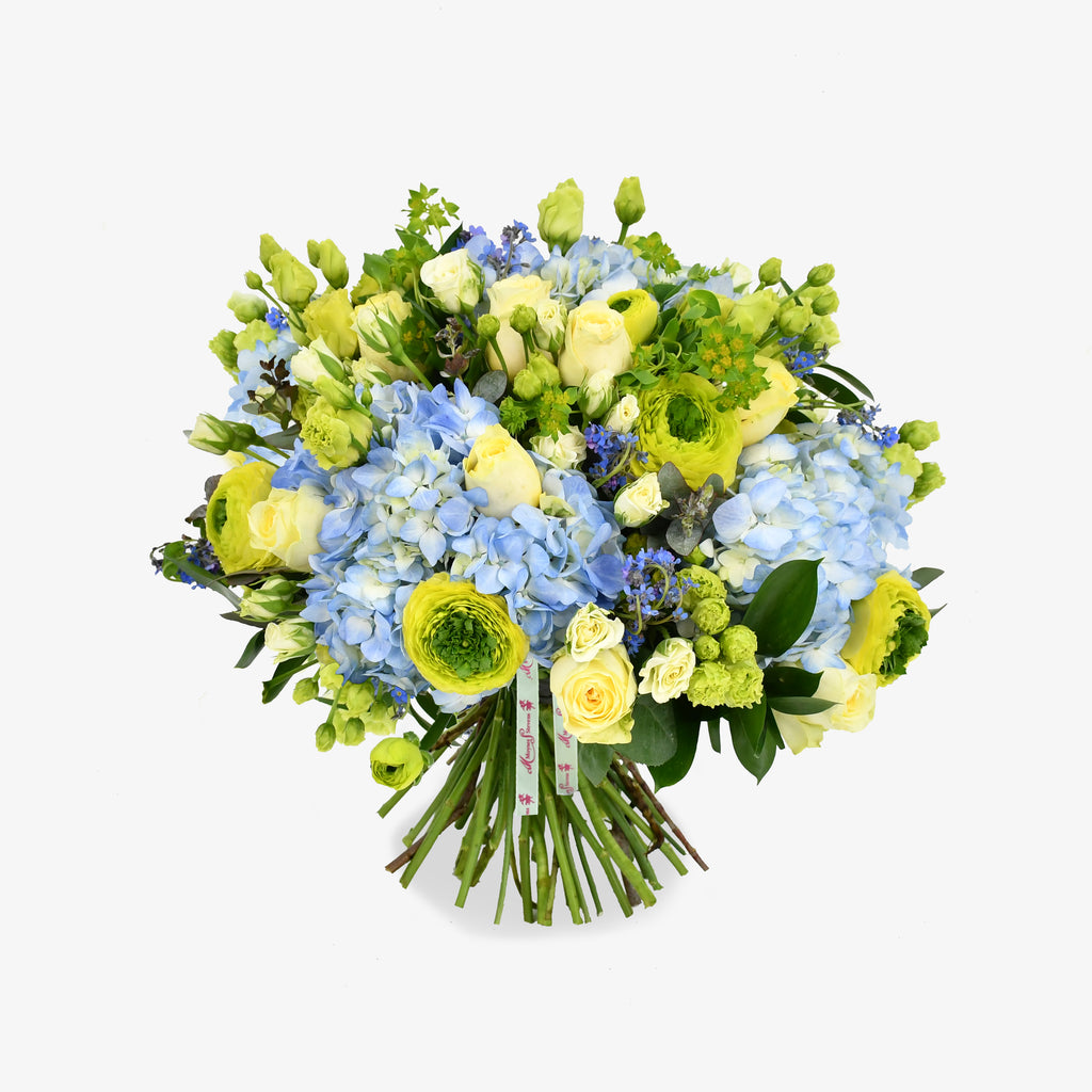 Forget Me Not