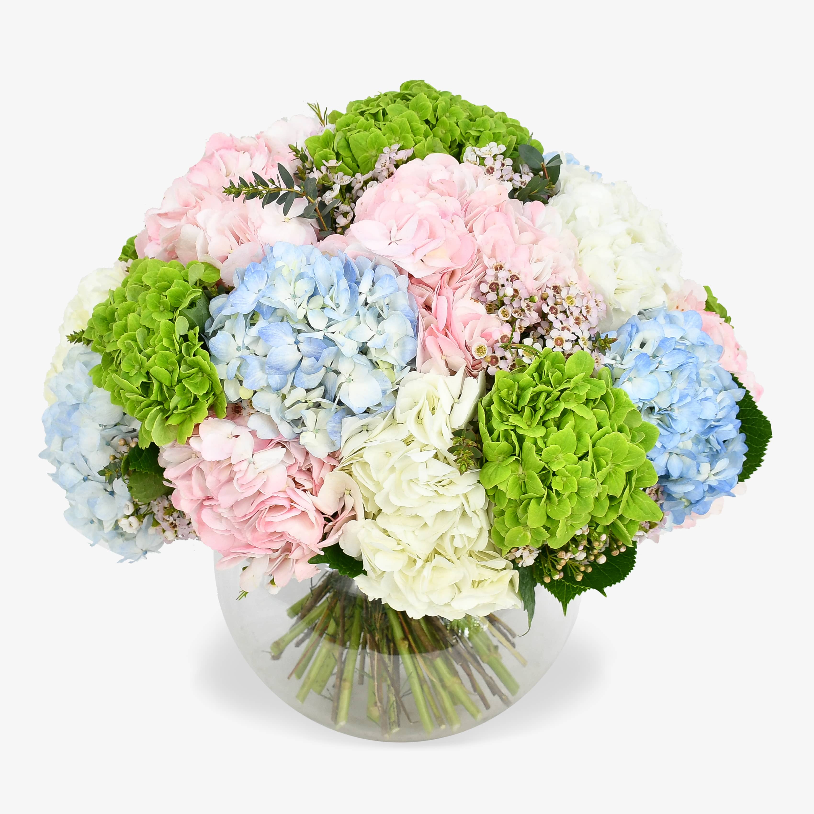 Heavenly Hydrangea