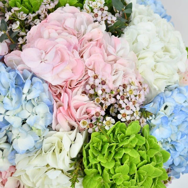 Hydrangea & Dom Perignon