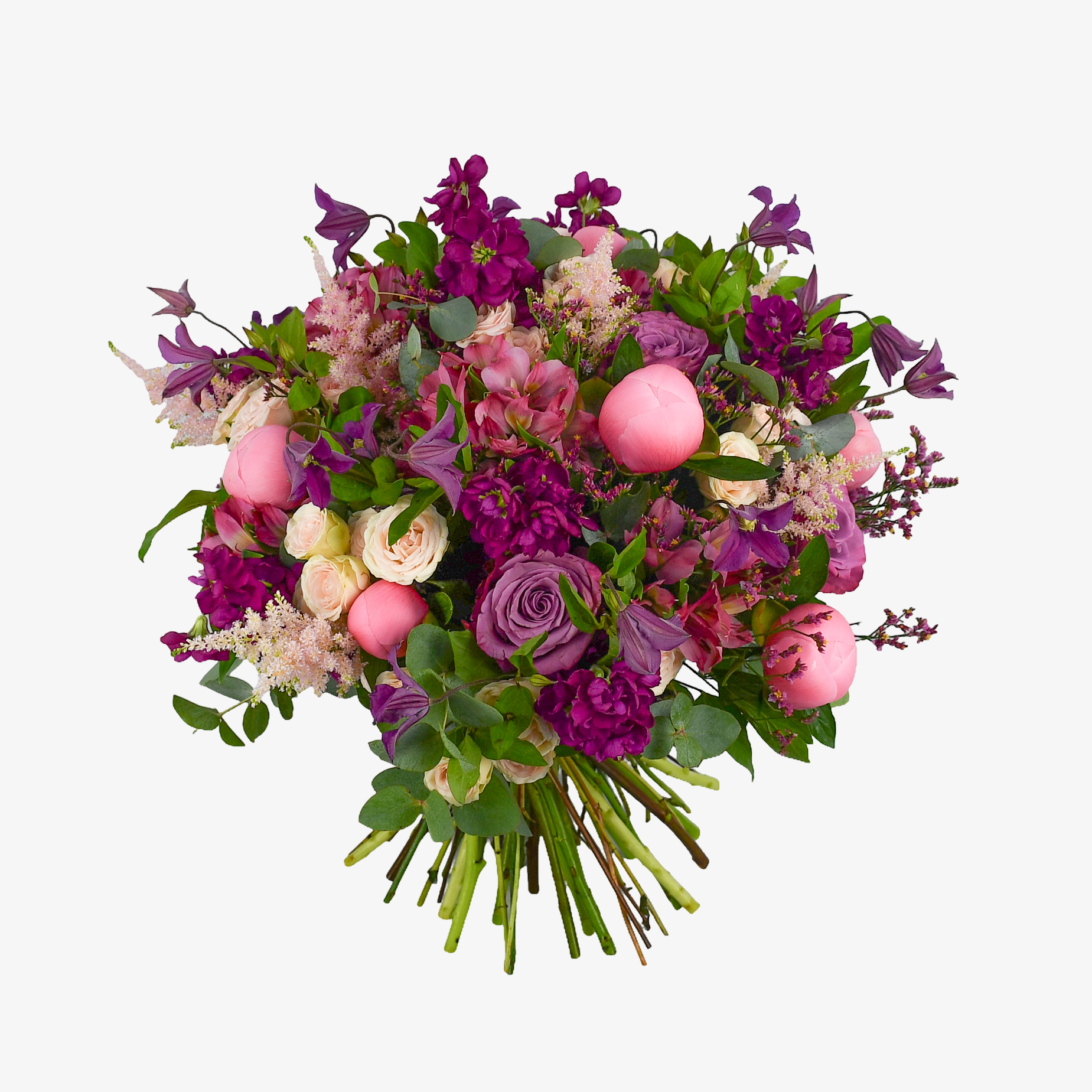 Stocks & Peonies