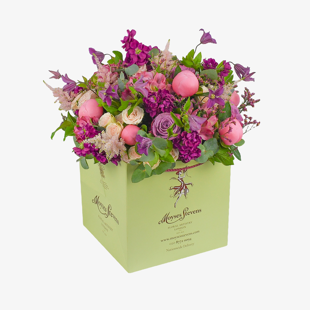 Stocks & Peonies