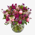 Stocks & Peonies