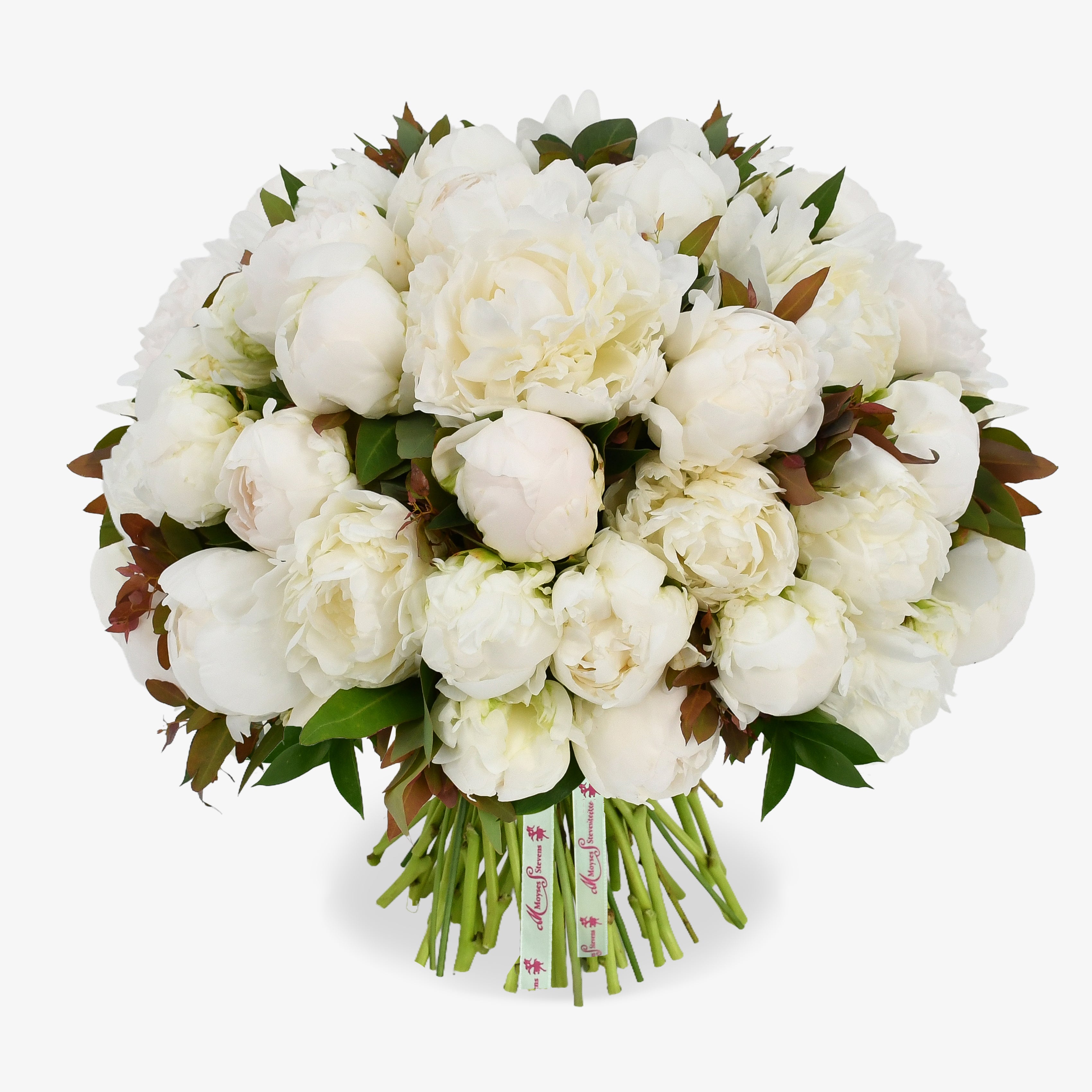 White Peonies