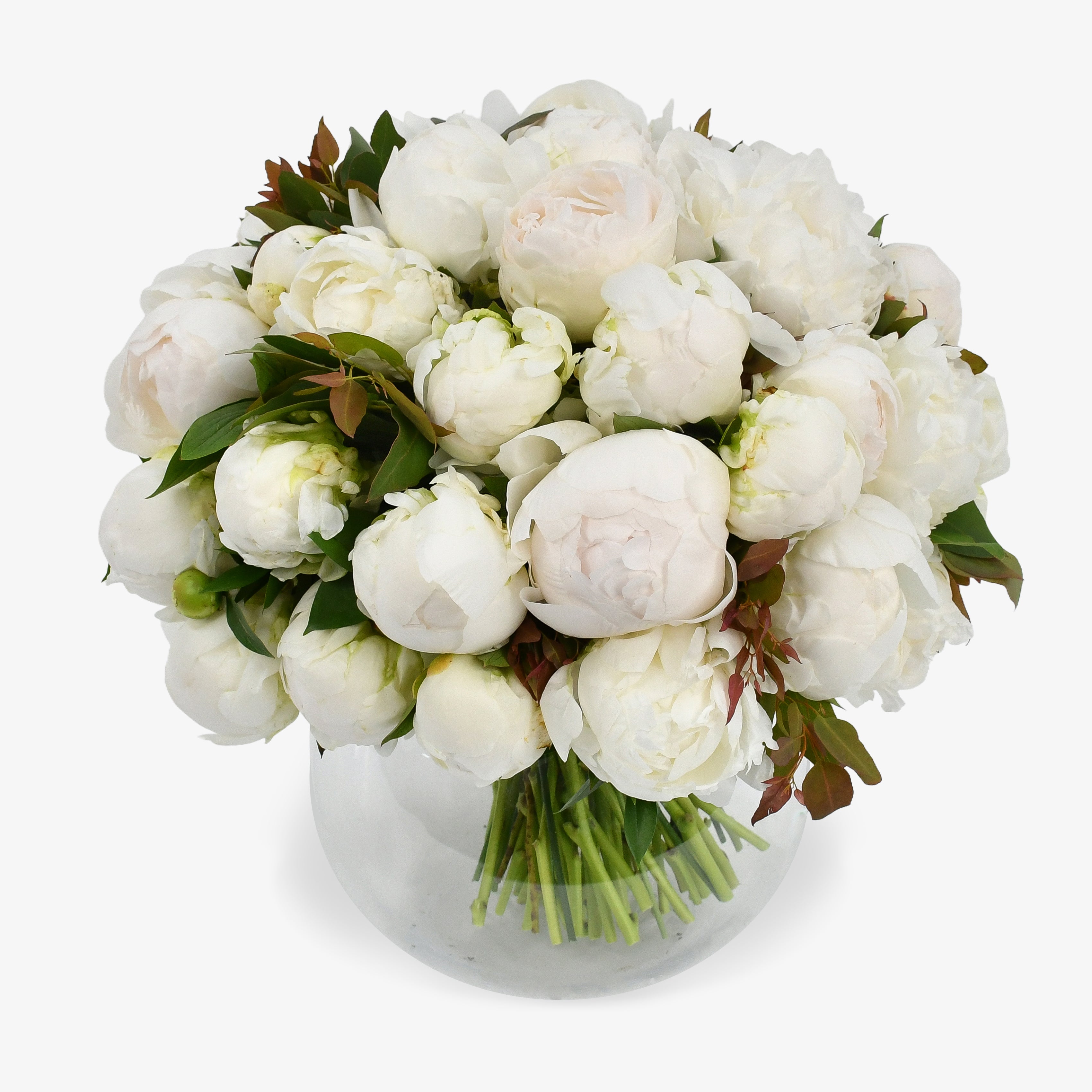 White Peonies