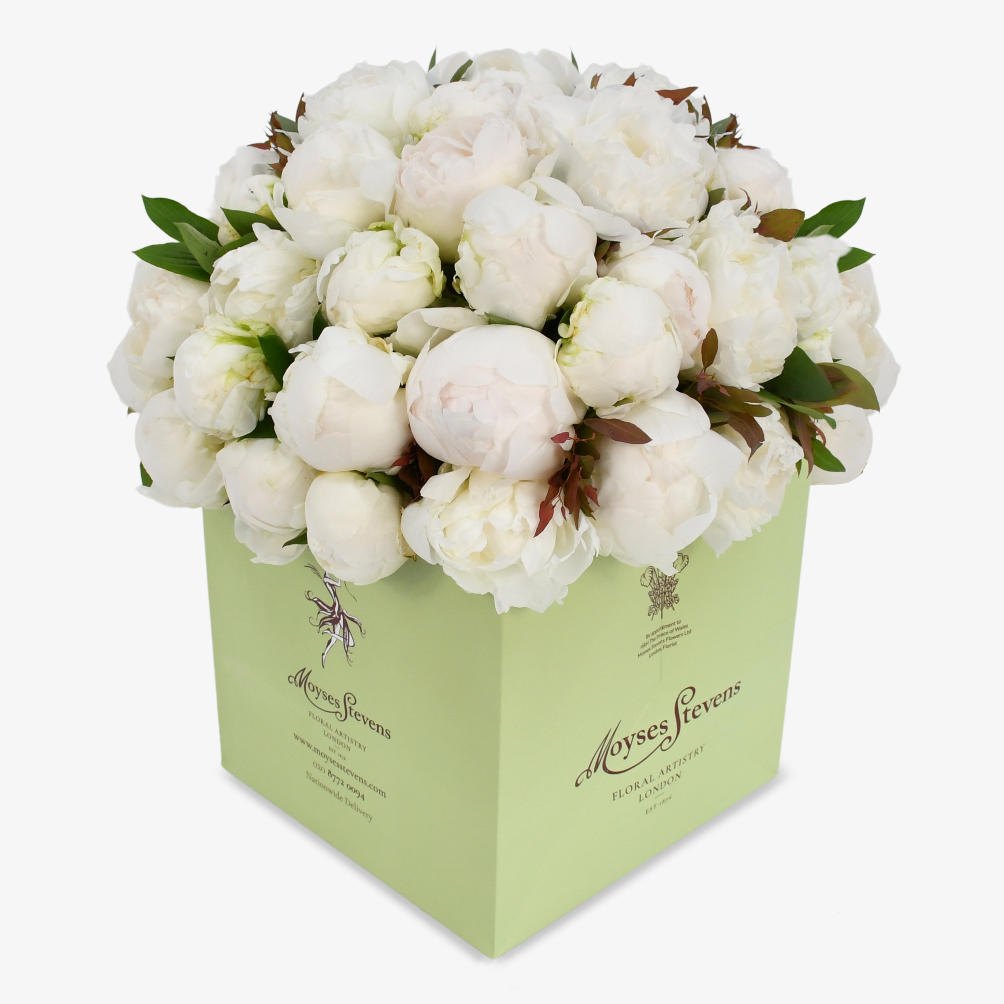 White Peonies