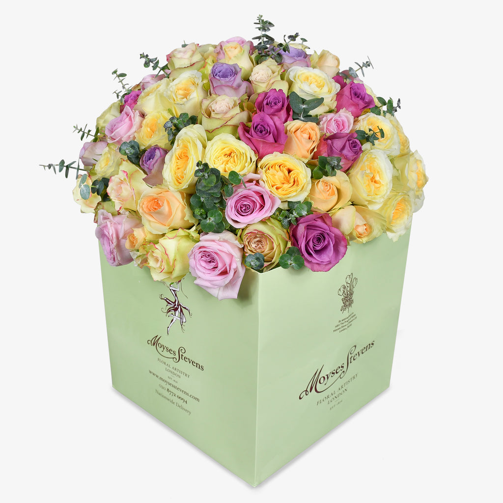 Sweet Rose