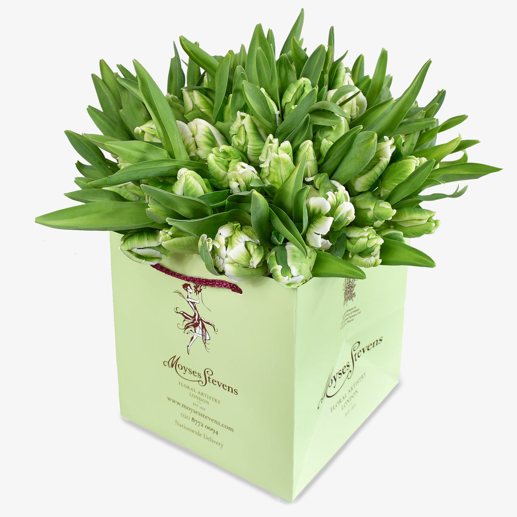 Parrot Tulips