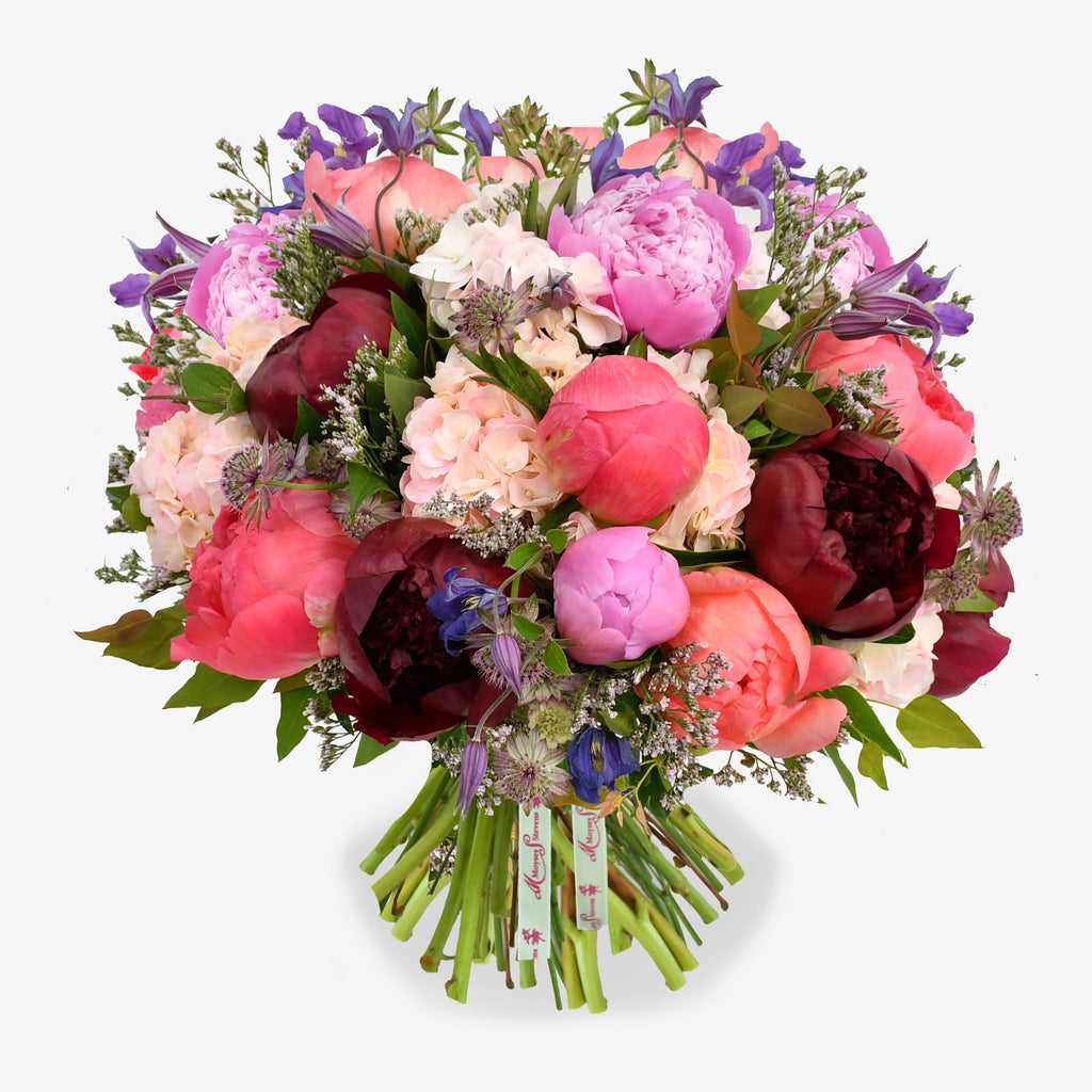 Peony Delight