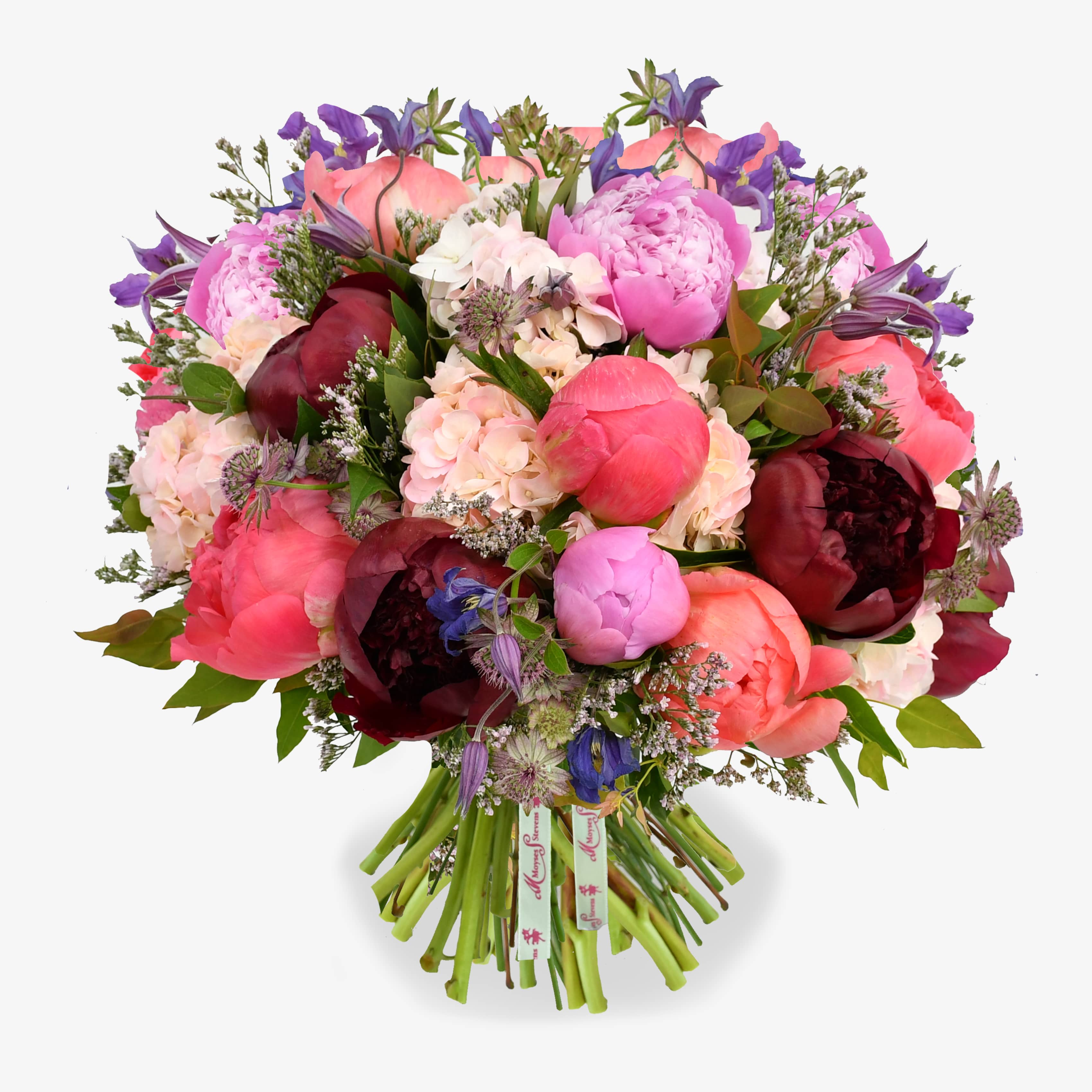 Peony Delight