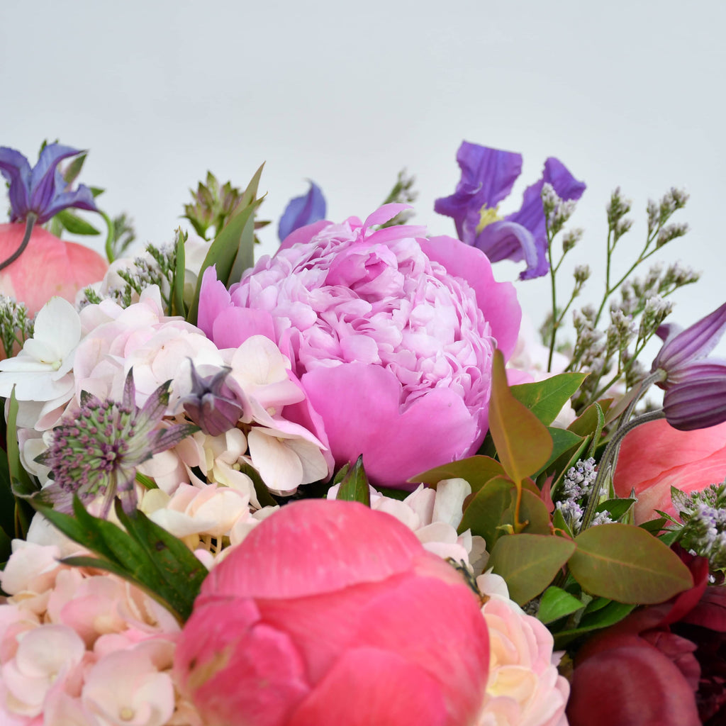 Peony Delight
