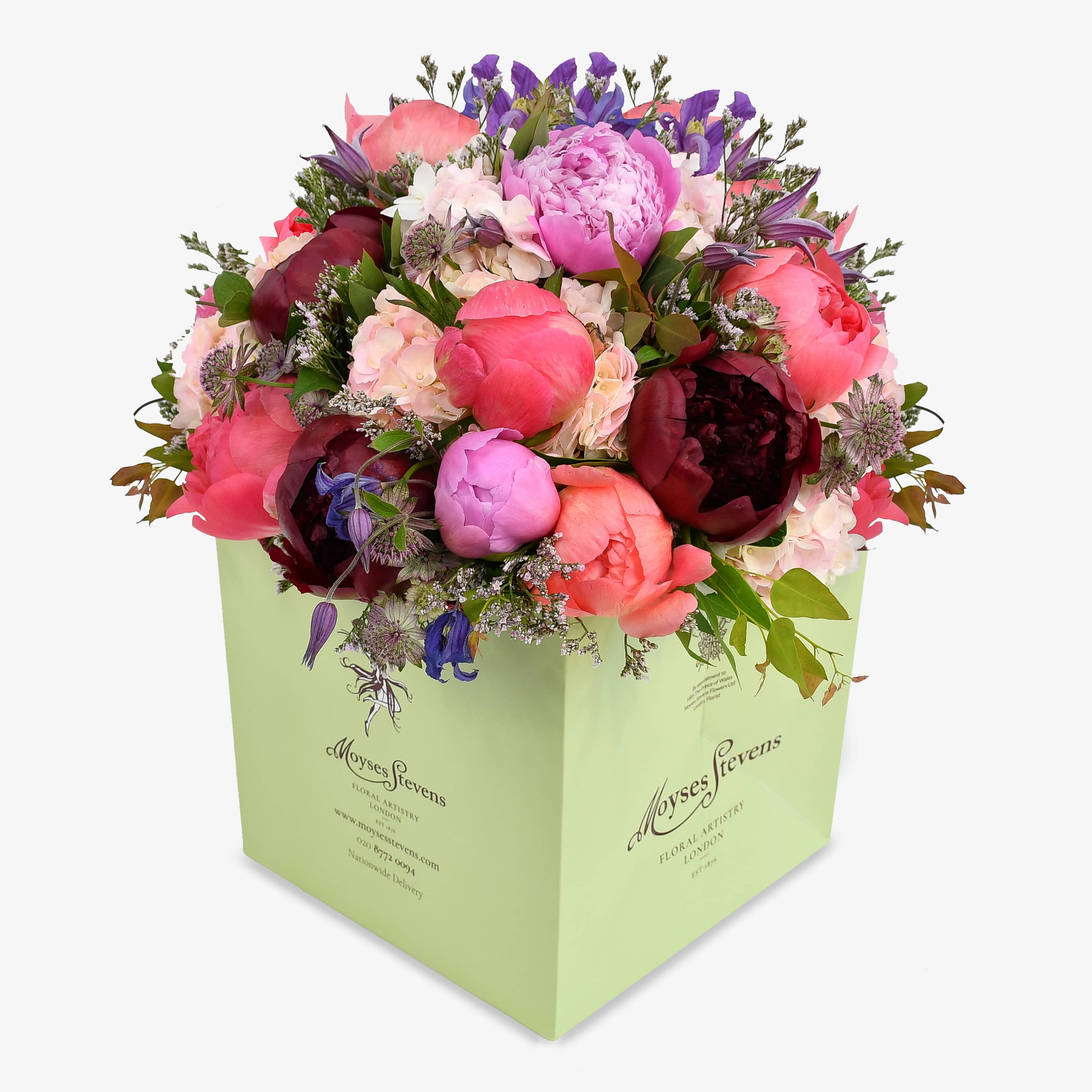 Peony Delight