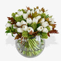 White Tulips & Skimmia