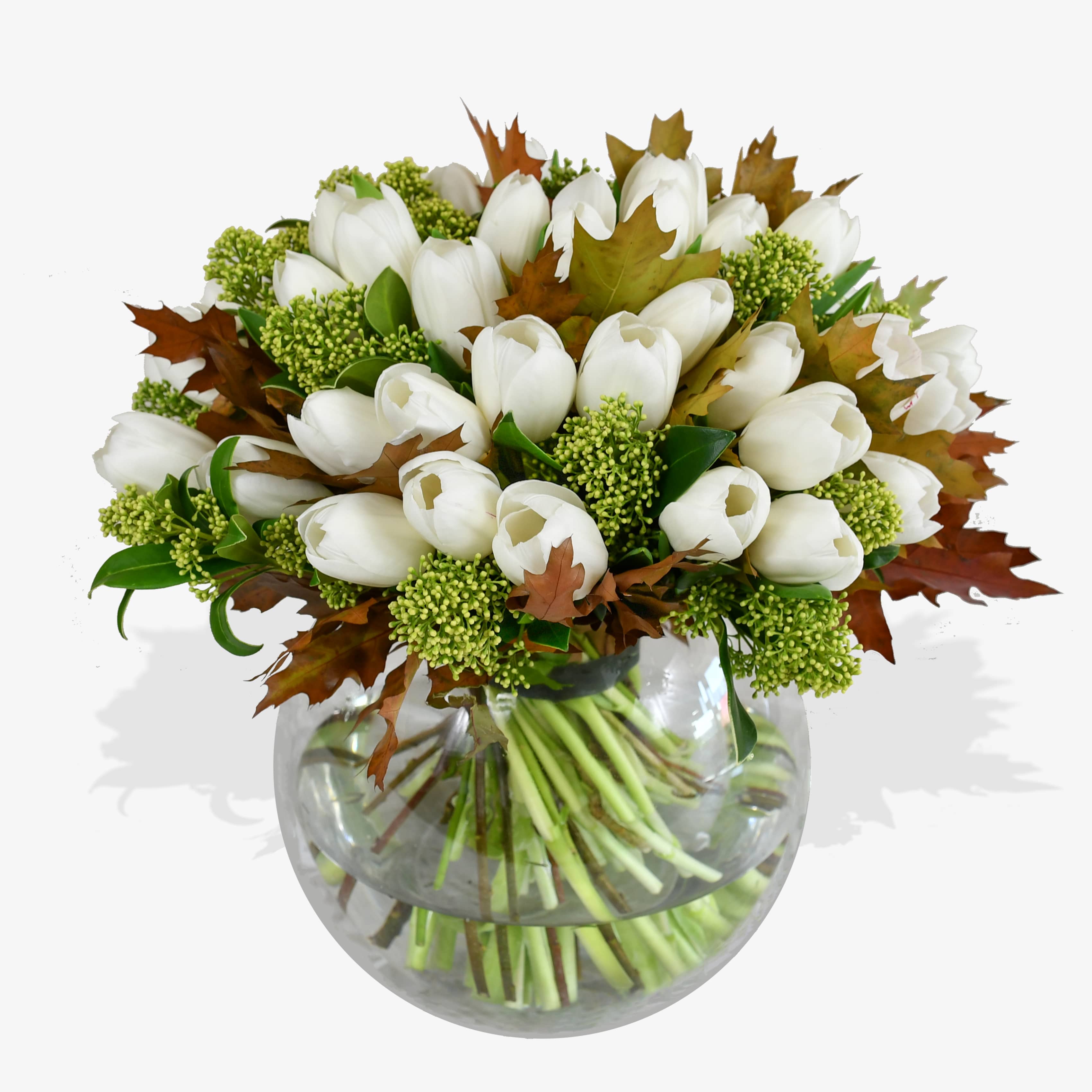 White Tulips & Skimmia