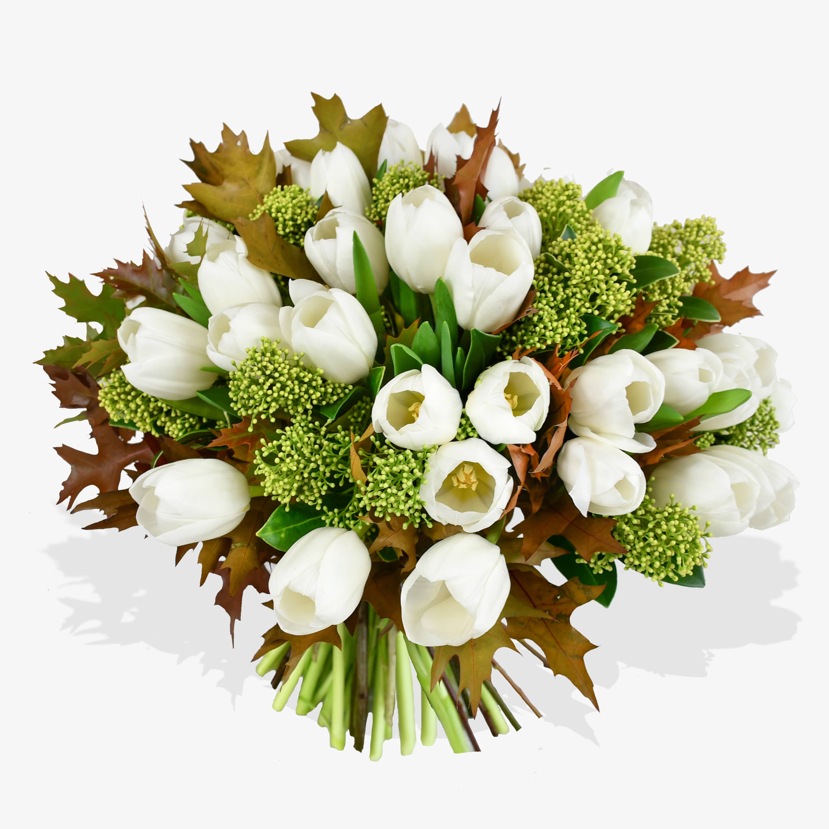 White Tulips & Skimmia