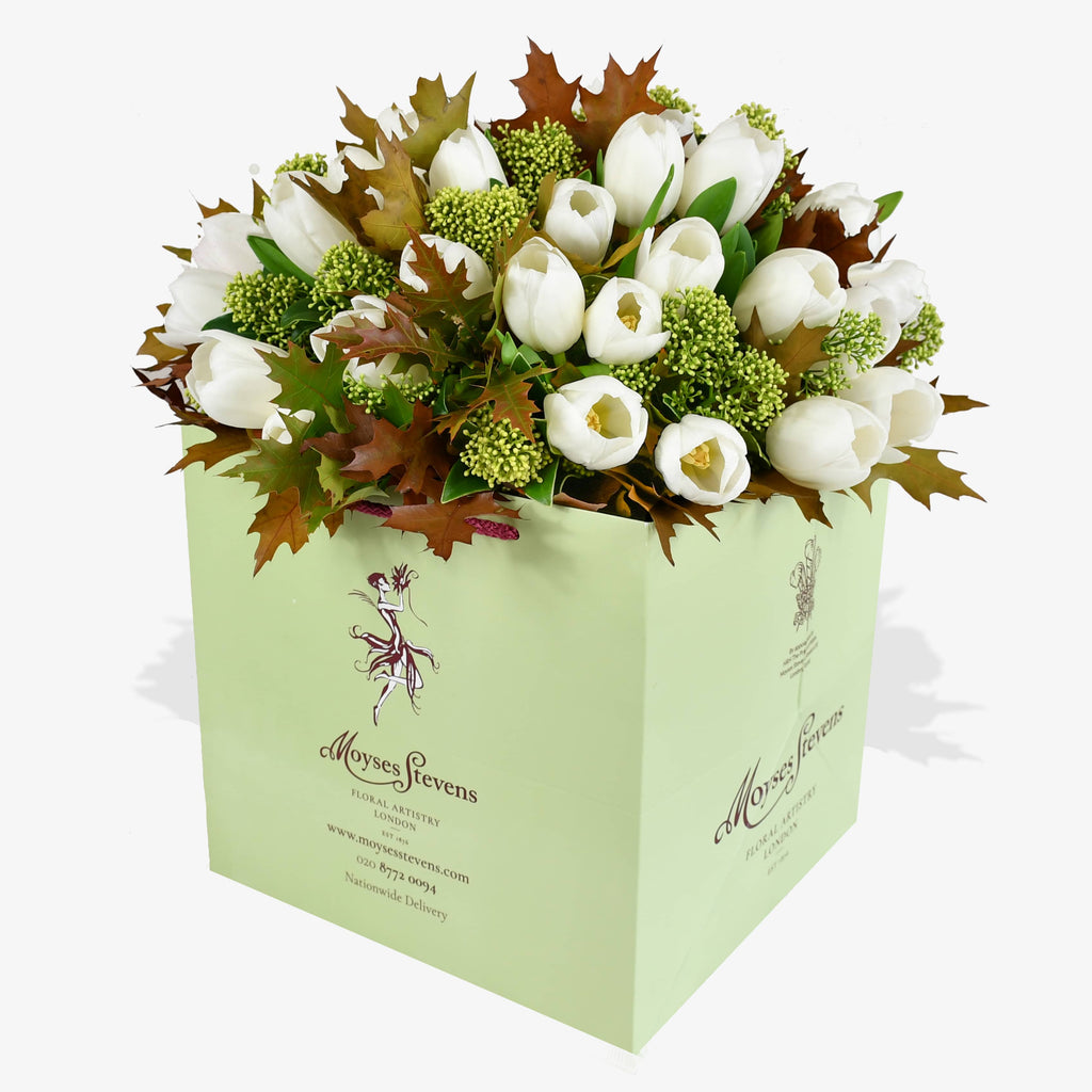 White Tulips & Skimmia