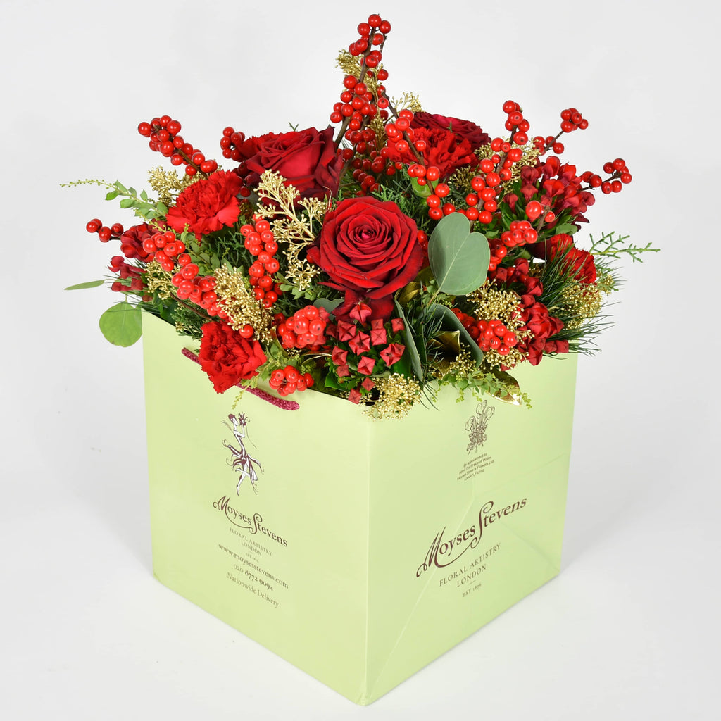 Festive Rose