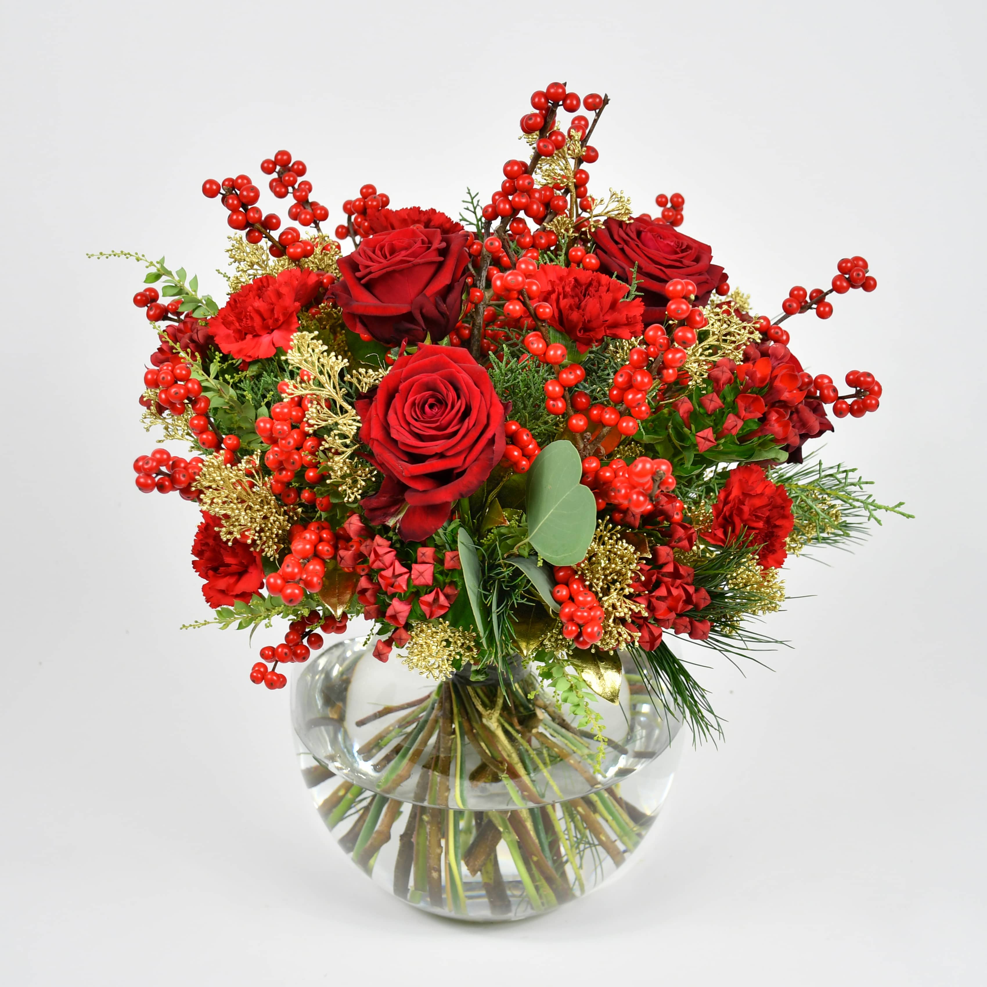 Festive Rose