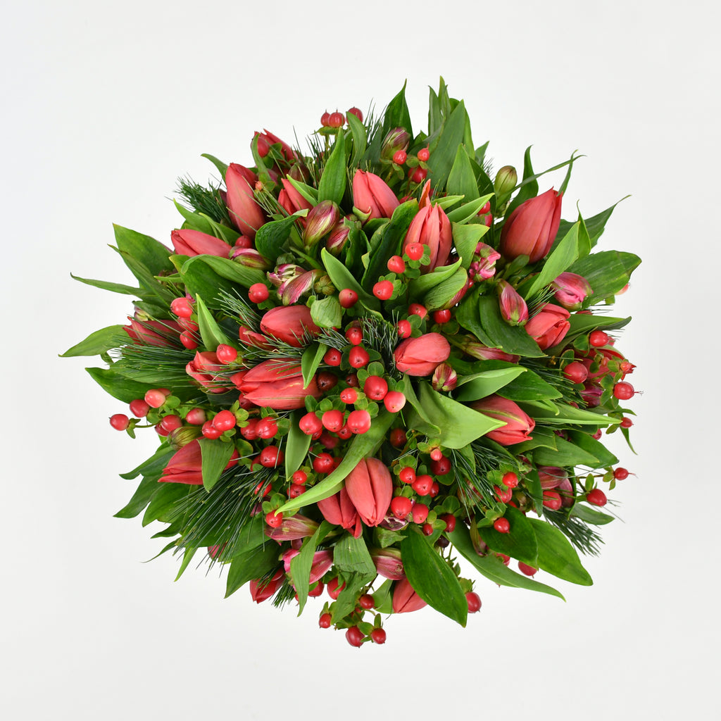 Christmas Tulips
