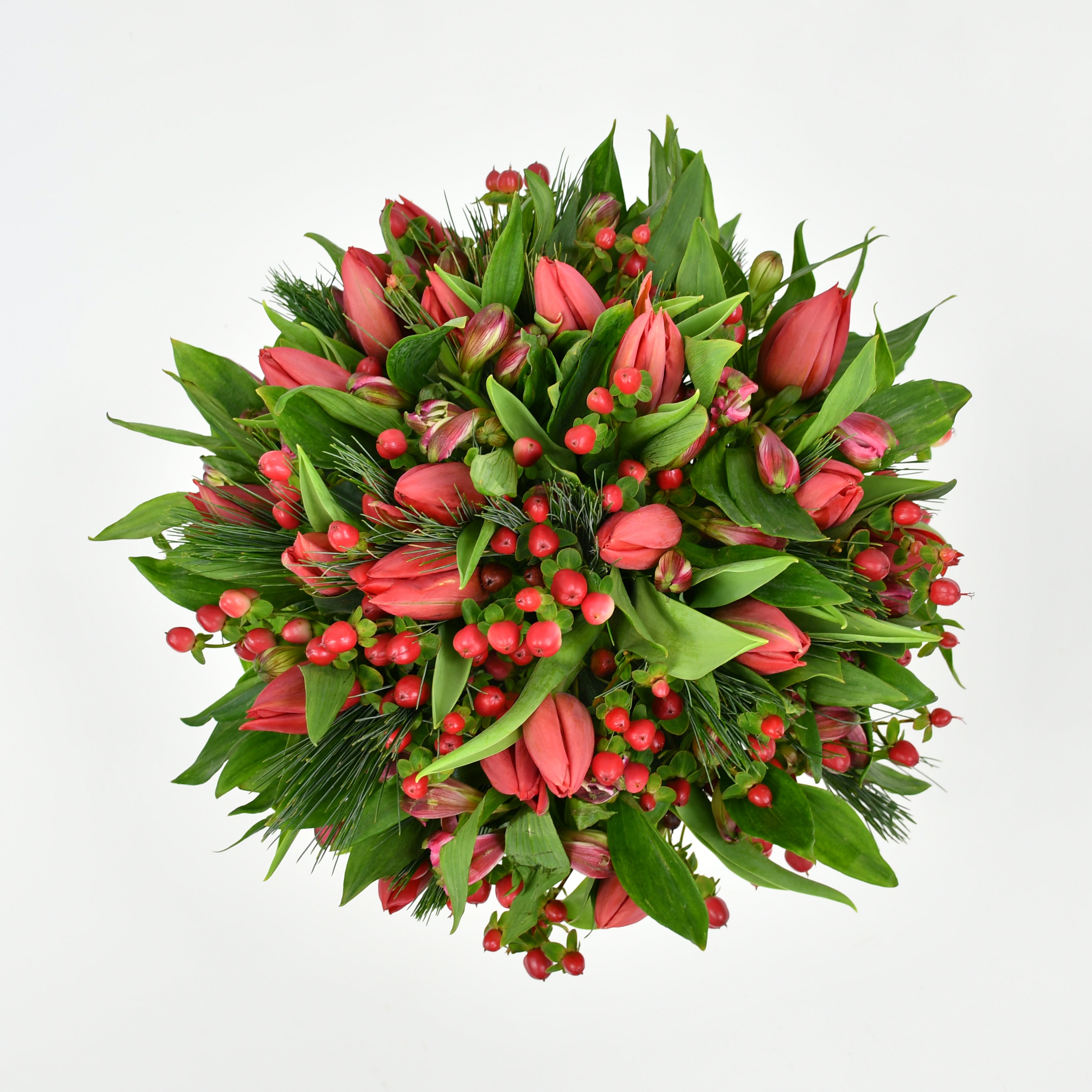 Christmas Tulips