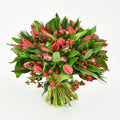 Christmas Tulips