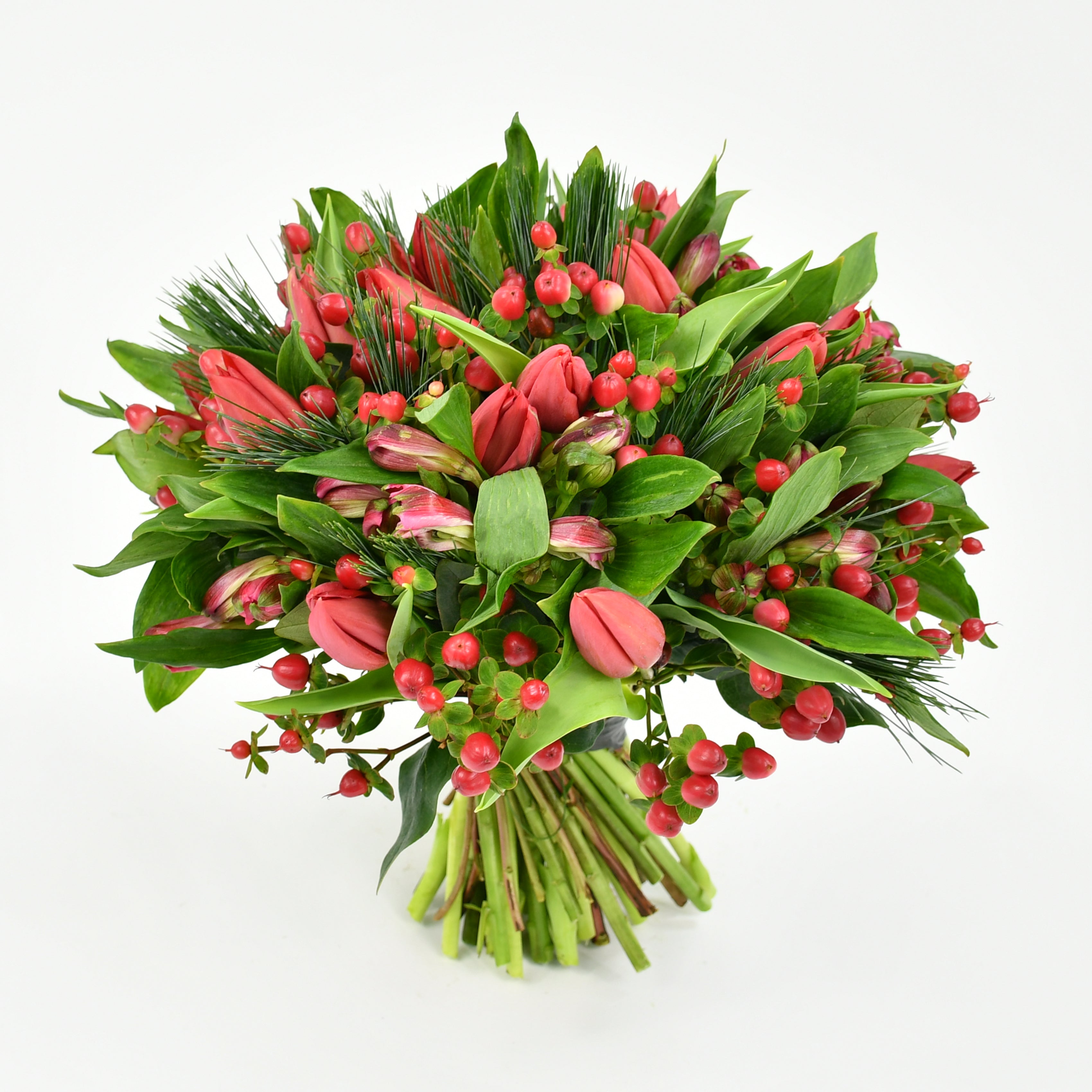 Christmas Tulips