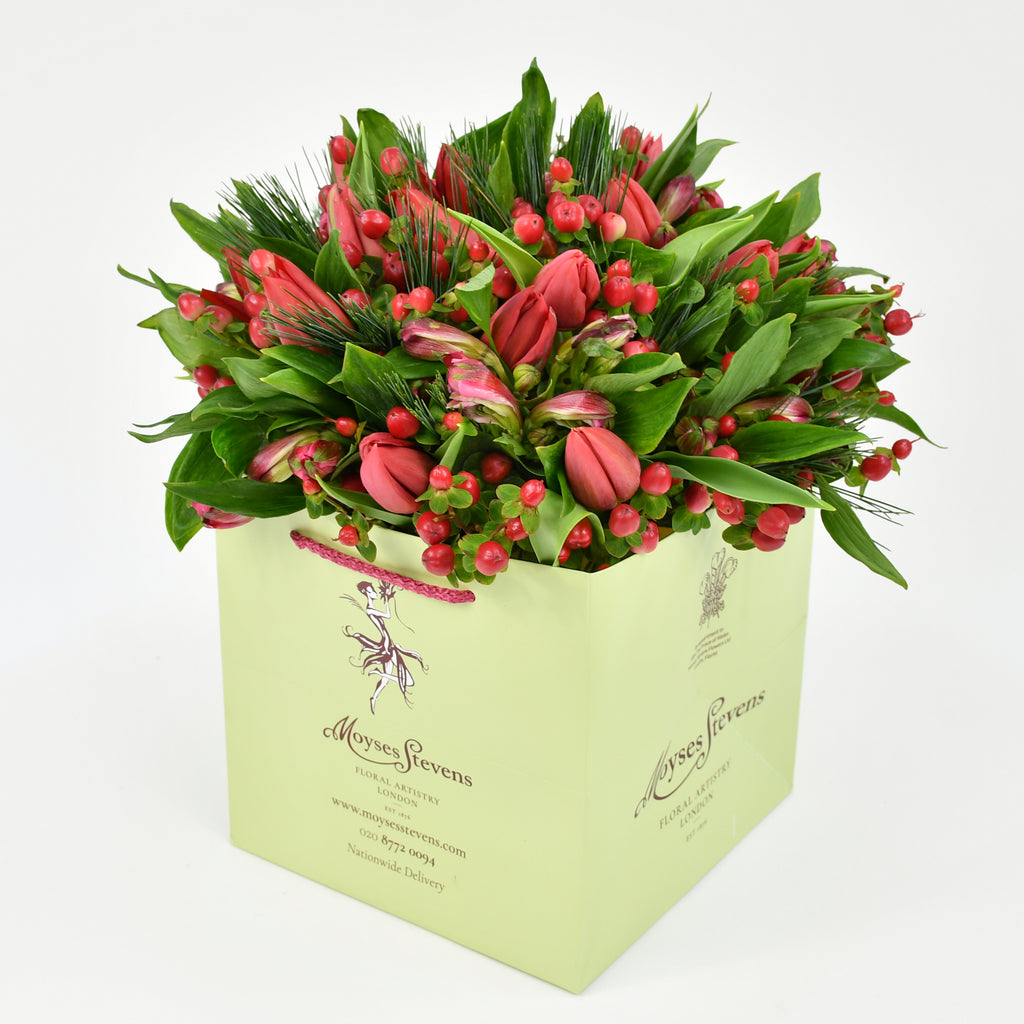 Christmas Tulips