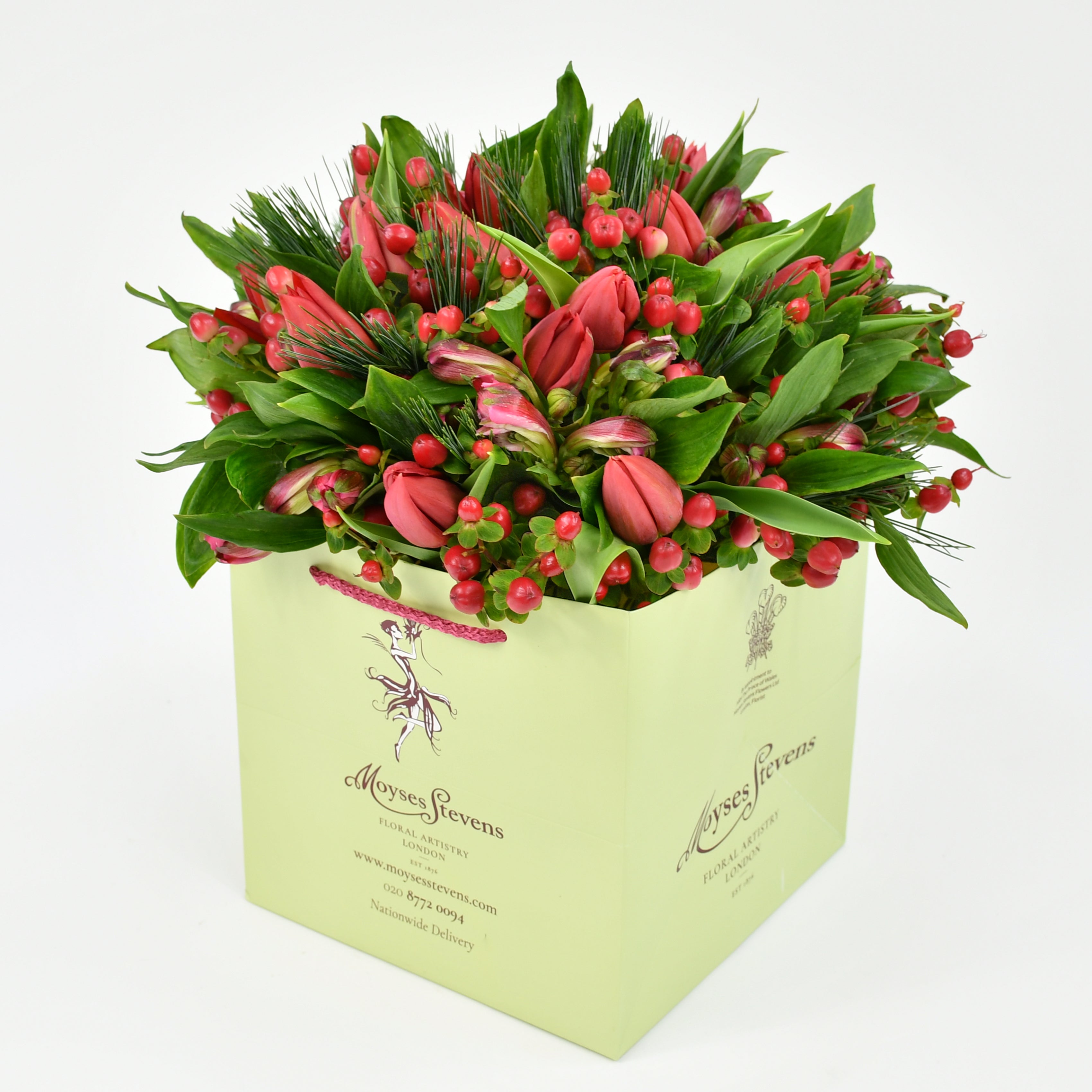 Christmas Tulips