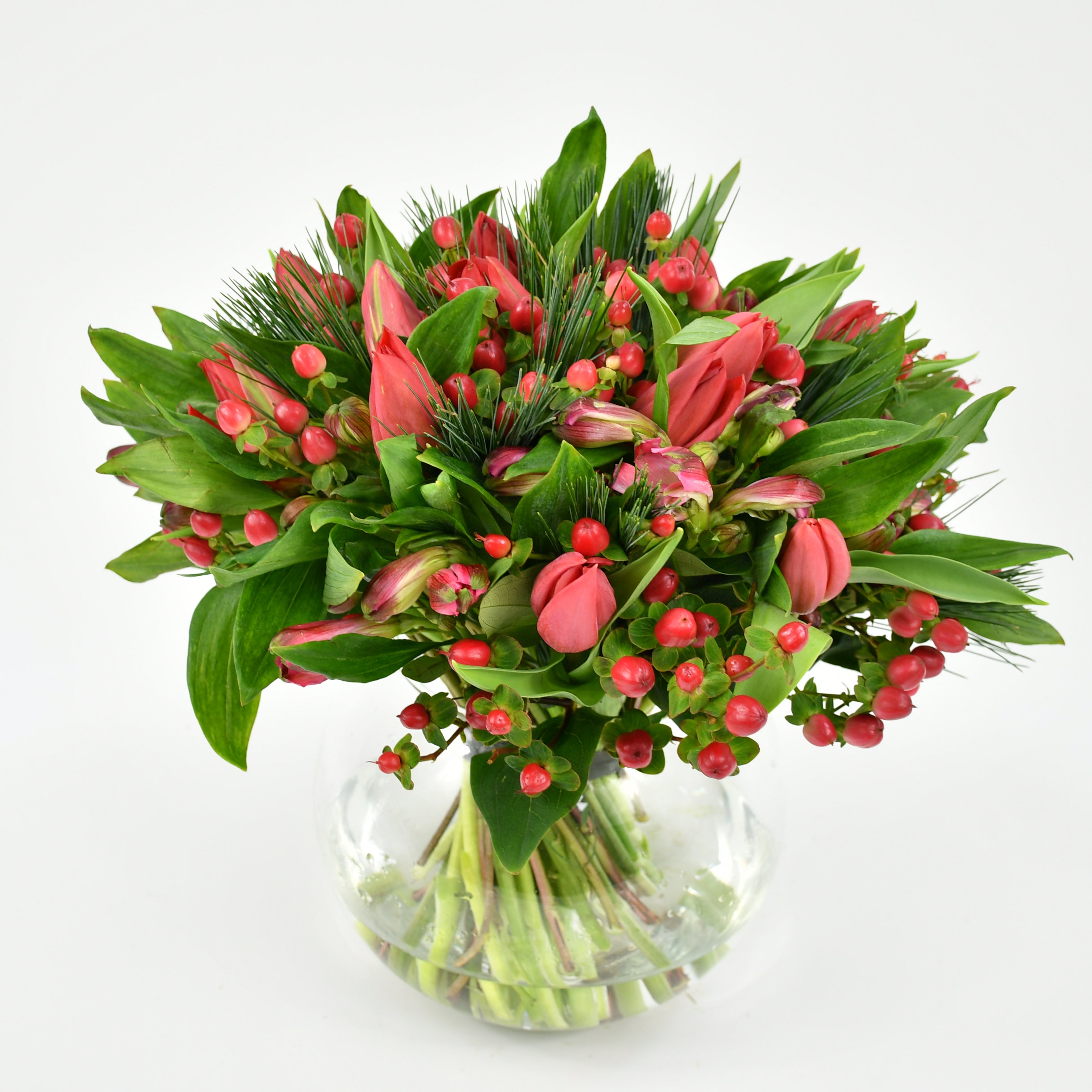 Christmas Tulips
