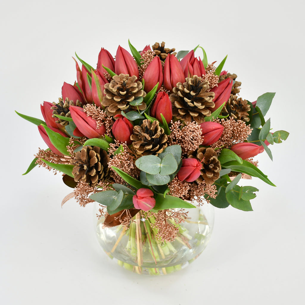 Winter Tulip