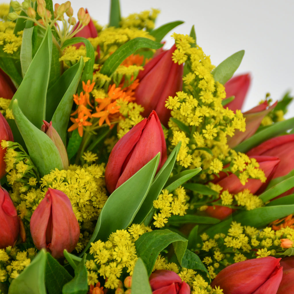 Red Tulips & Solidago