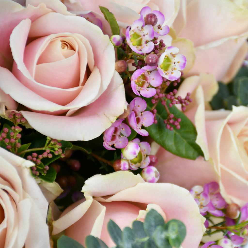 Dozen Pink Roses