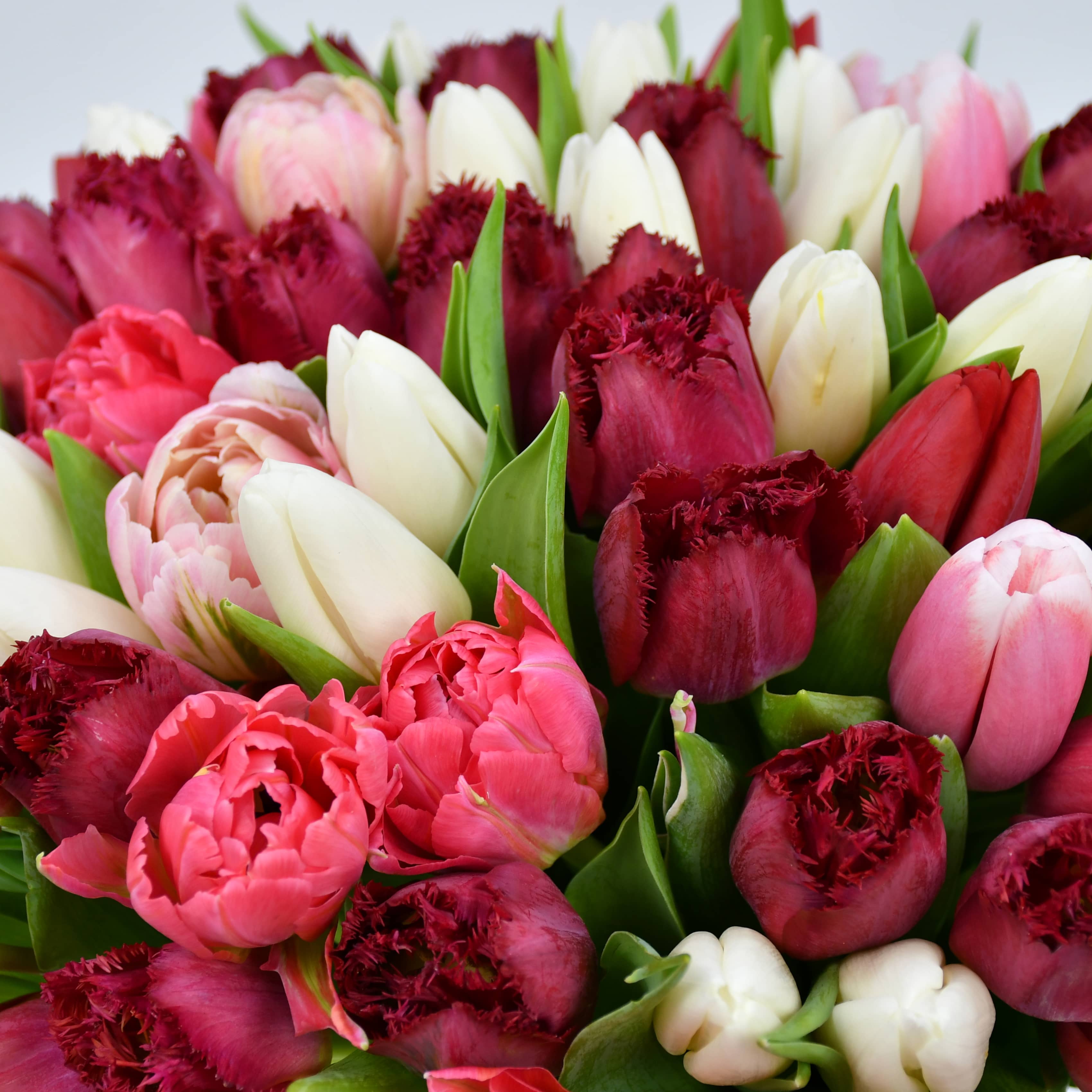 British Tulips Bouquet