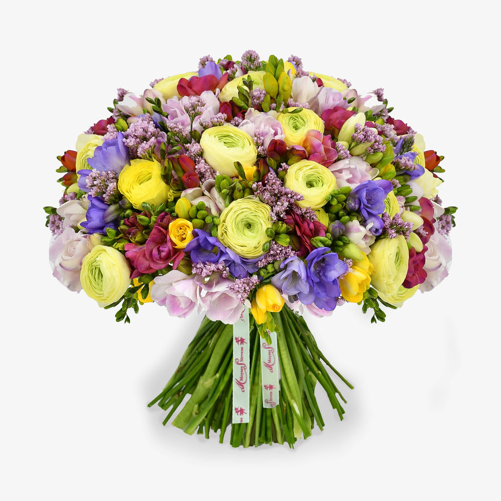 Freesia Forever