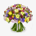 Freesia Forever