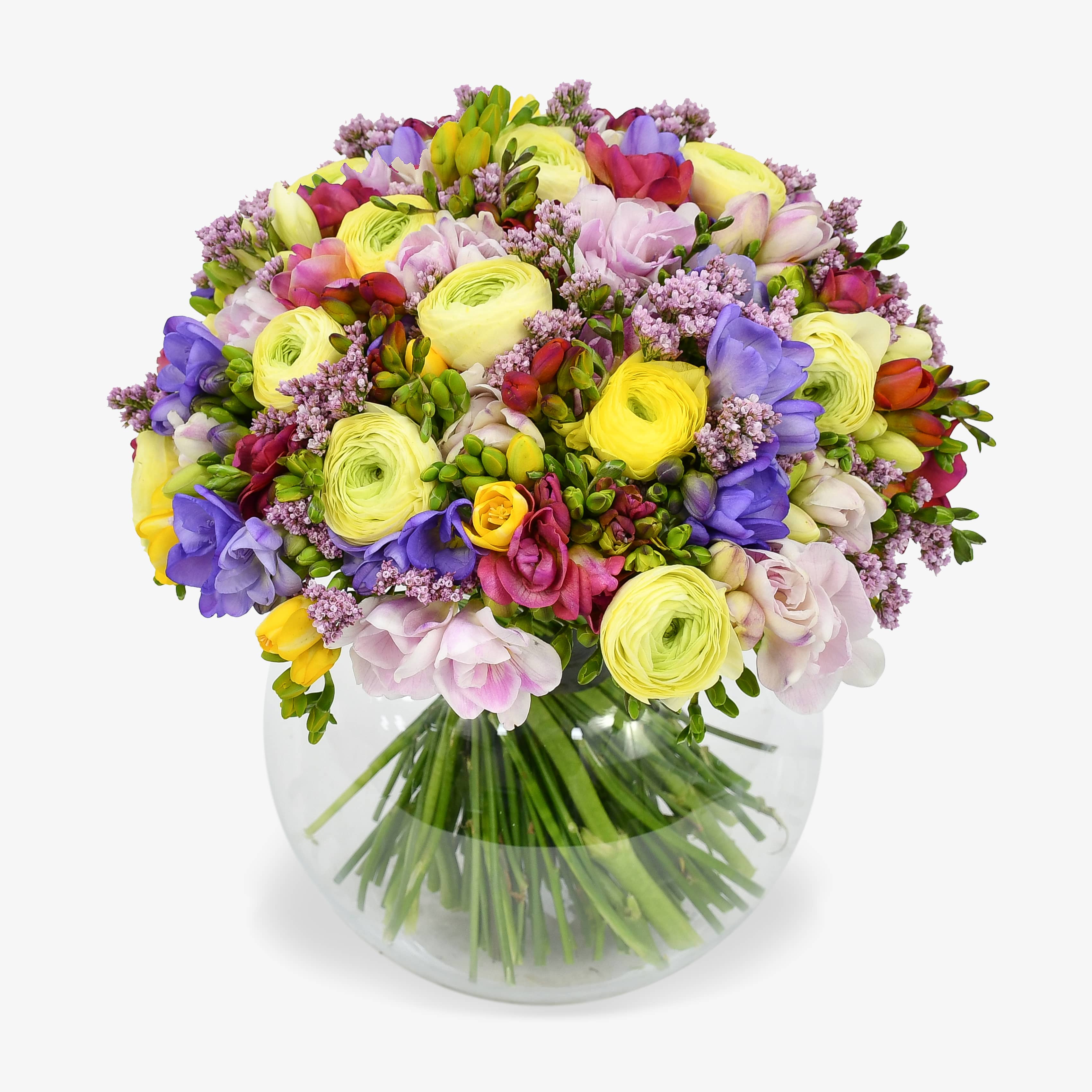 Freesia Forever
