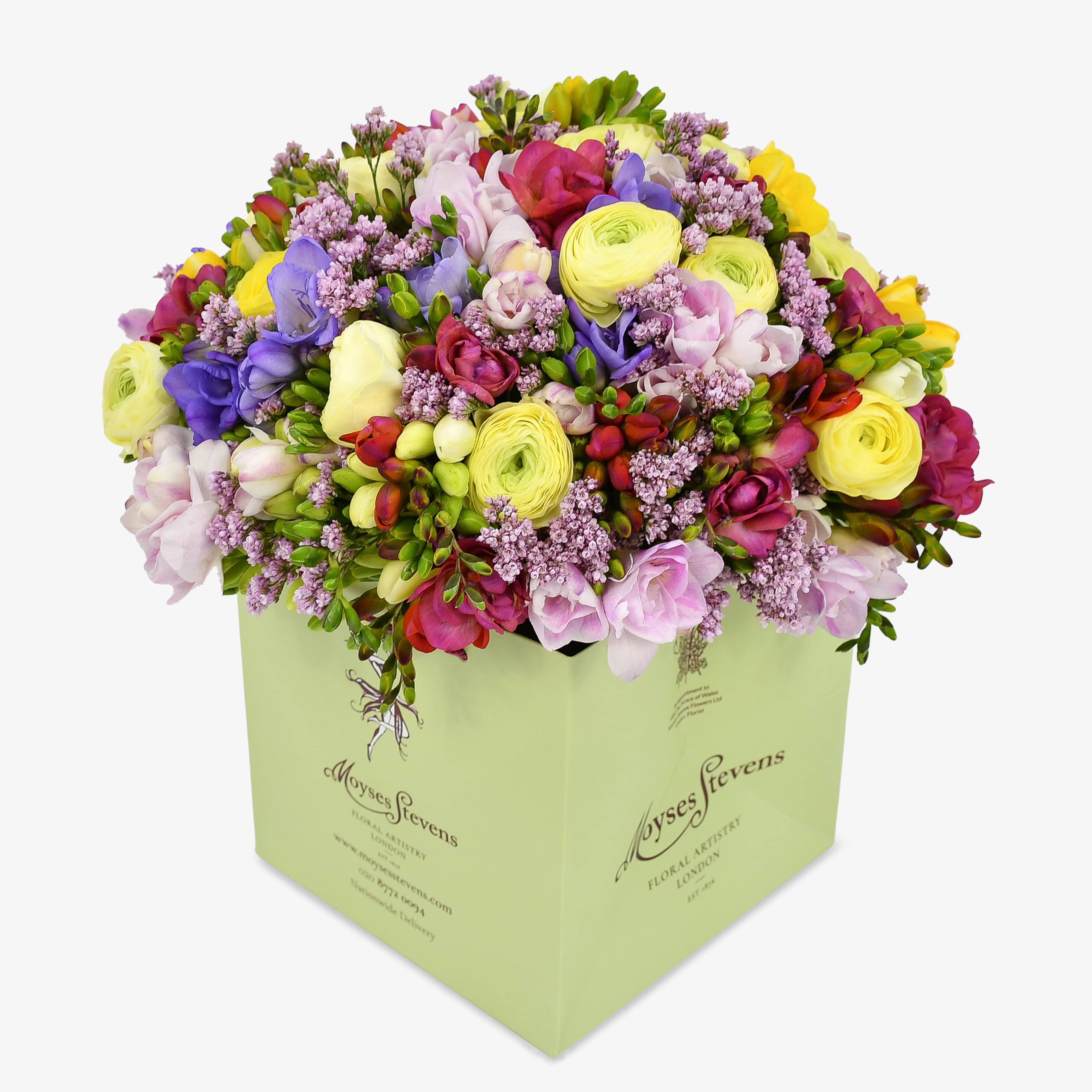 Freesia Forever