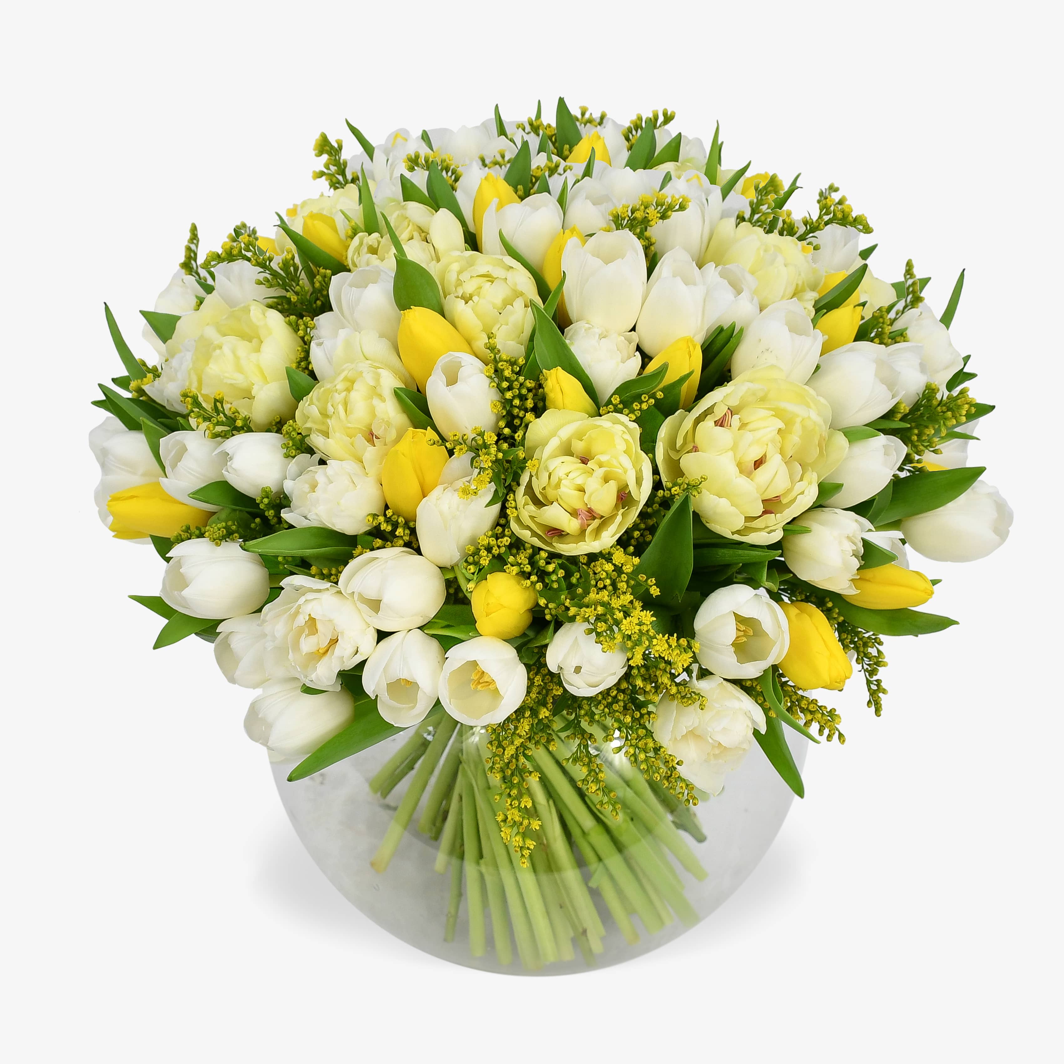 Tulip Symphony