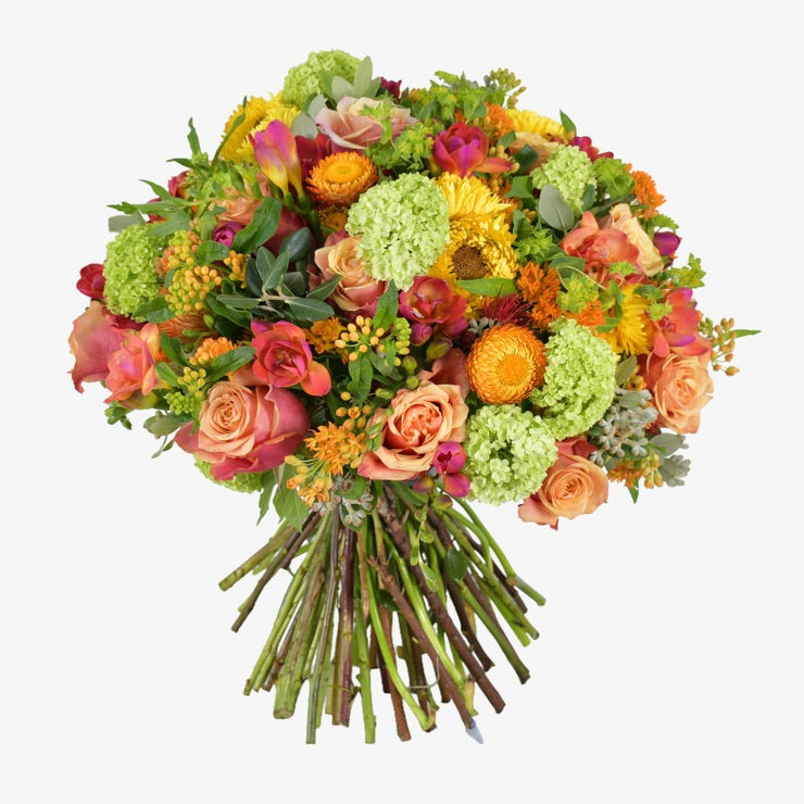 Autumn Orange