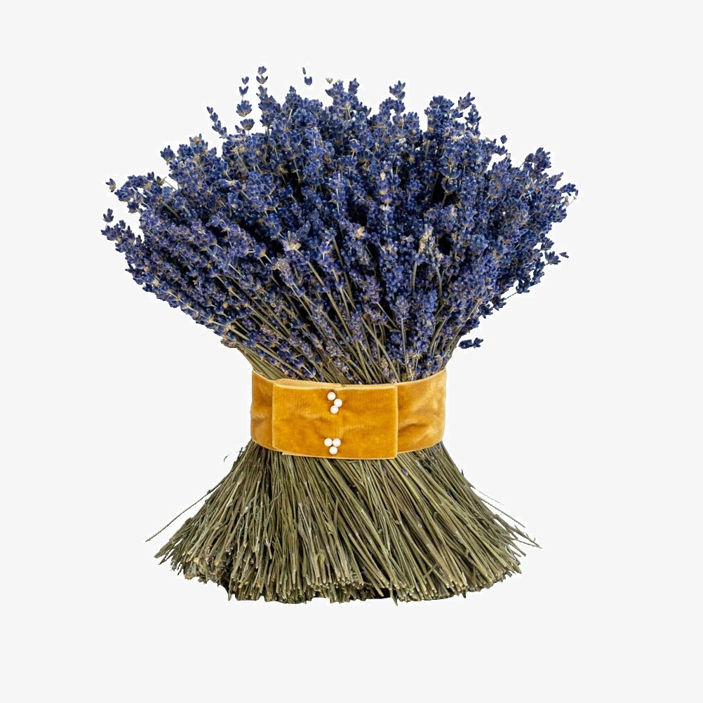 Dried Lavender