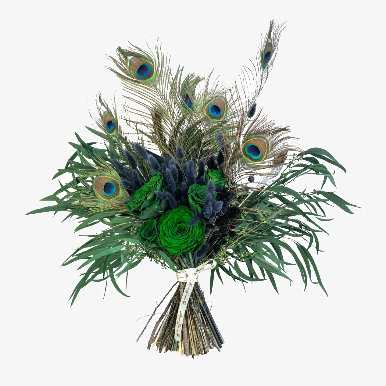 Peacock Dried Flower