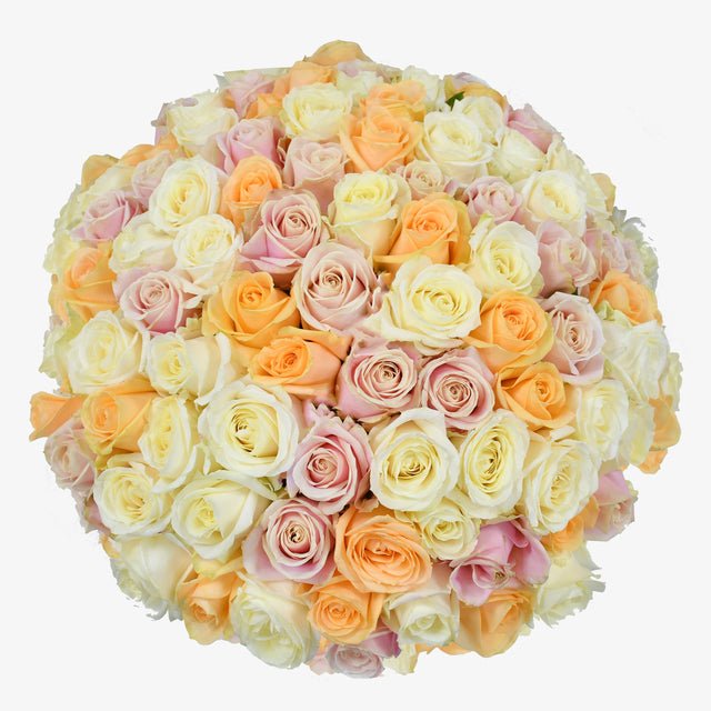 Pastel & Blanc