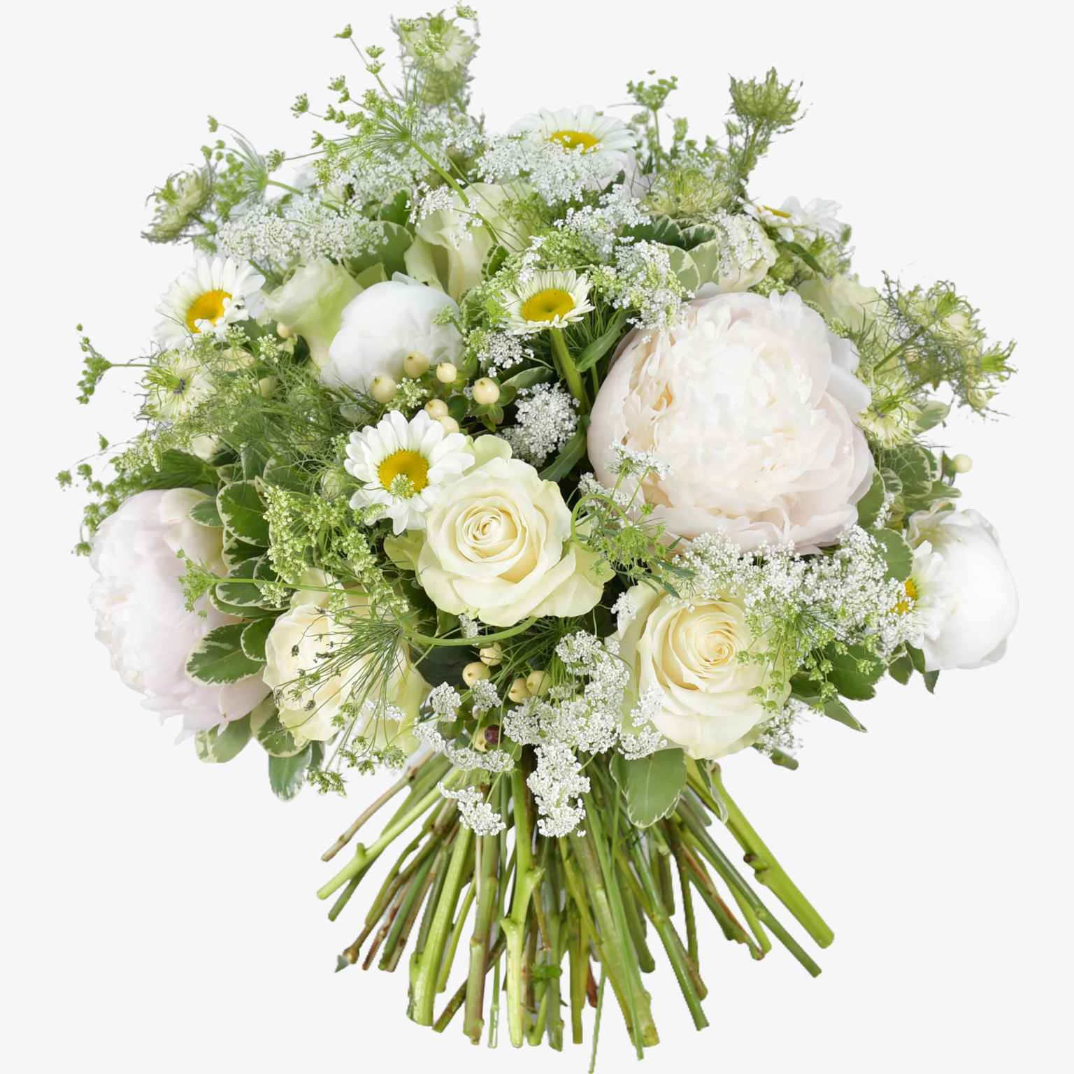 Peonies and Roses