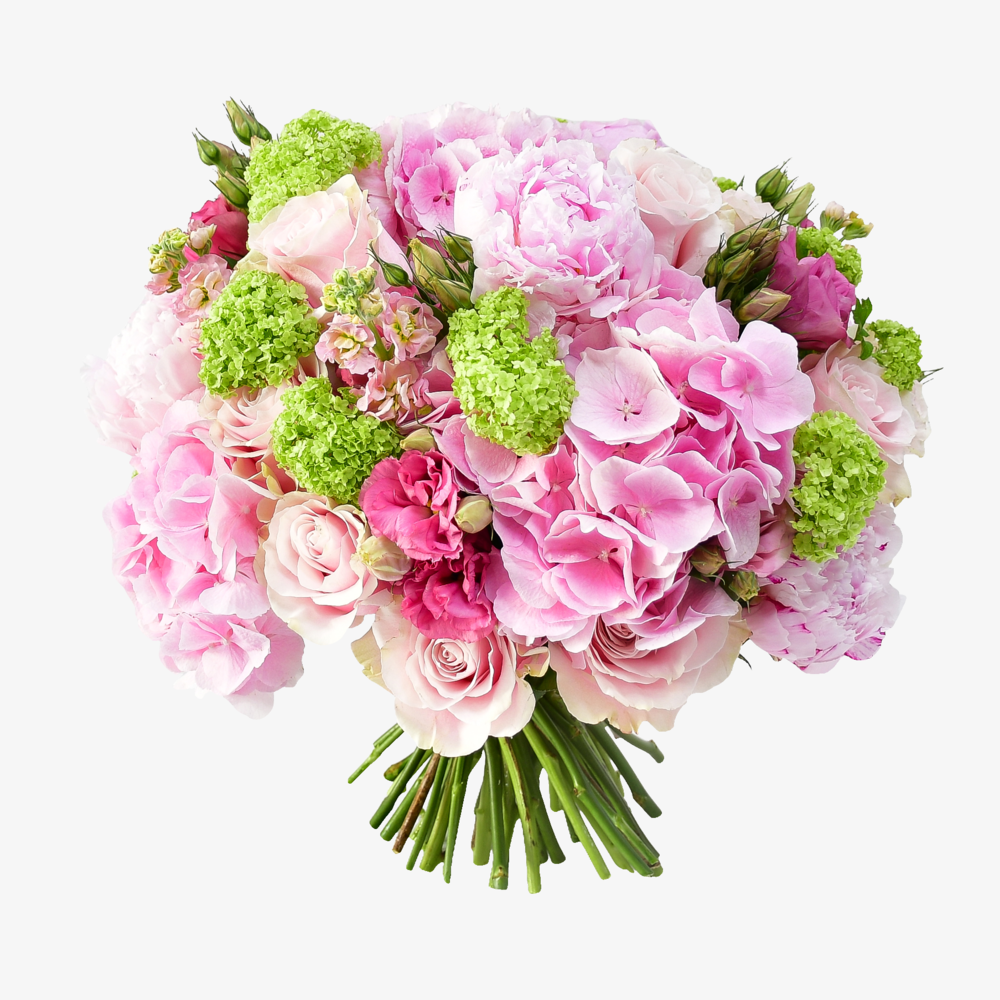 Pink Mondial