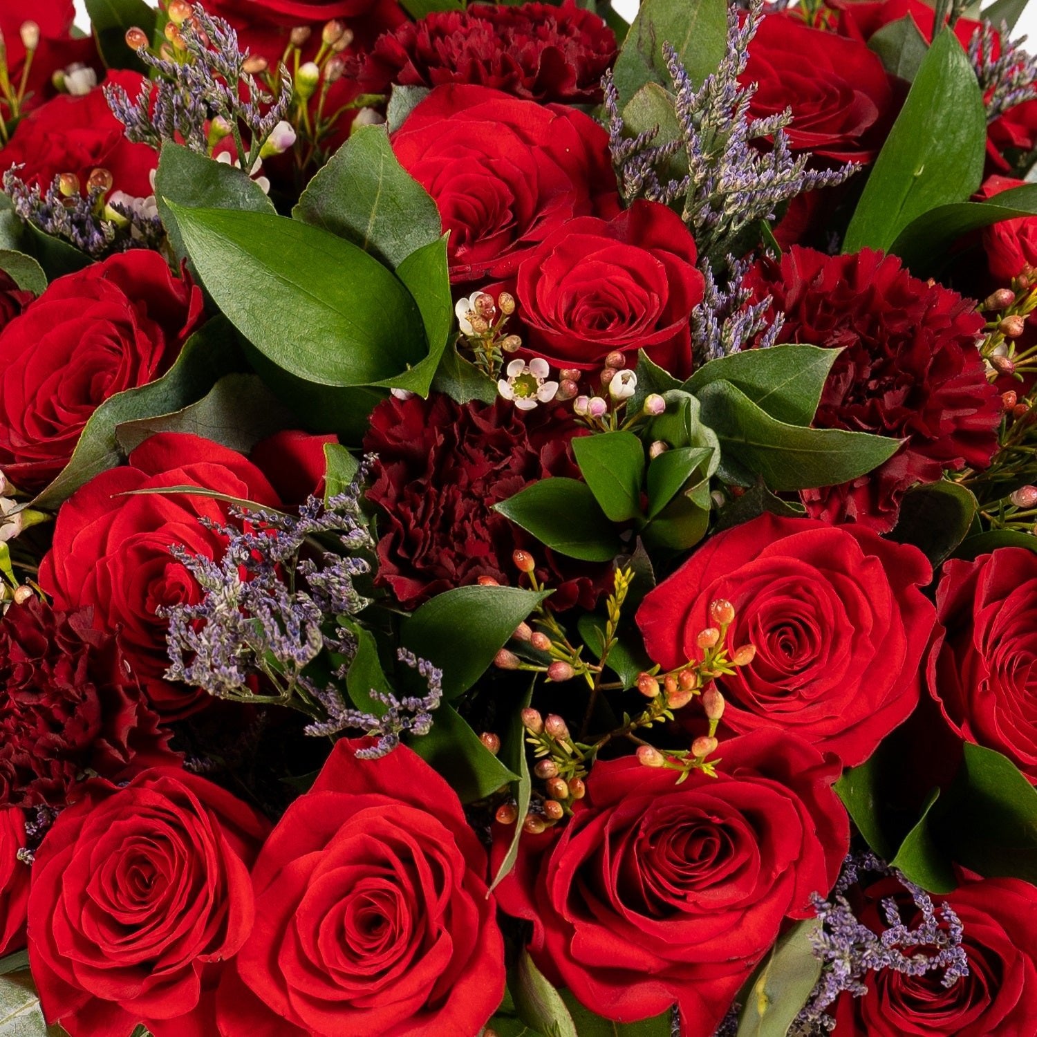 Symphony In Red